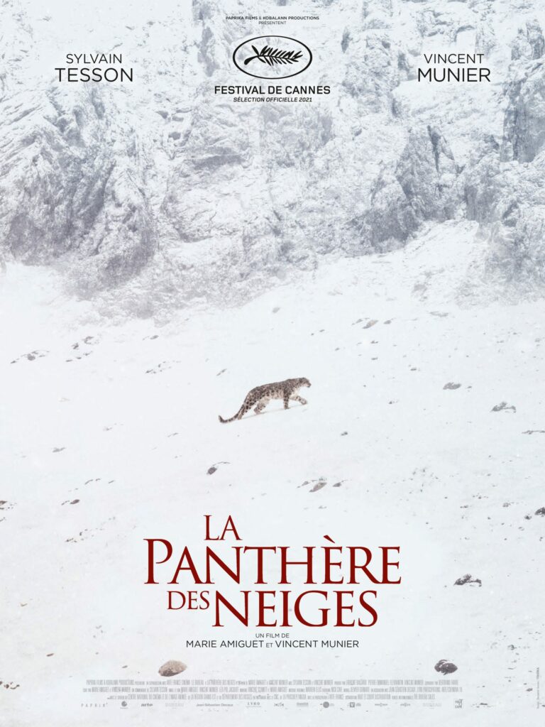 la panthère des neiges 